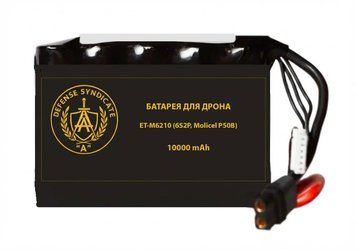 Акумуляторна батарея ЕТ-М6210 (6S2P, Molicel P50B) 3119 фото